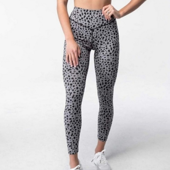 Vitality/ Balance Kingdom Ascend Snow Leopard - Picture 2 of 6